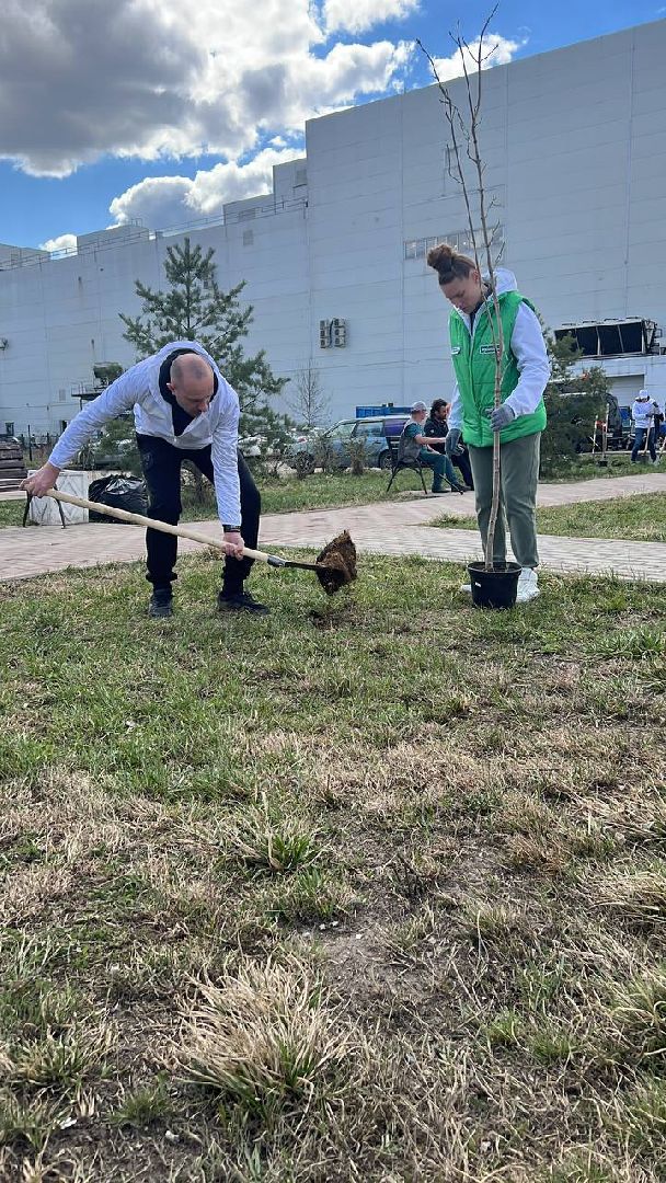 Солнечногорск, замминистра, благоустройство, деревья, субботник