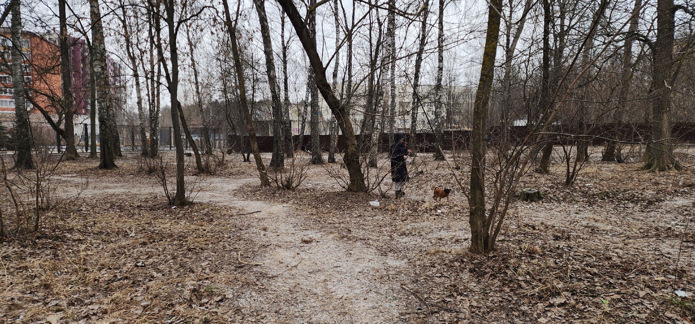 вертикалки, благоустройство, народные тропы,