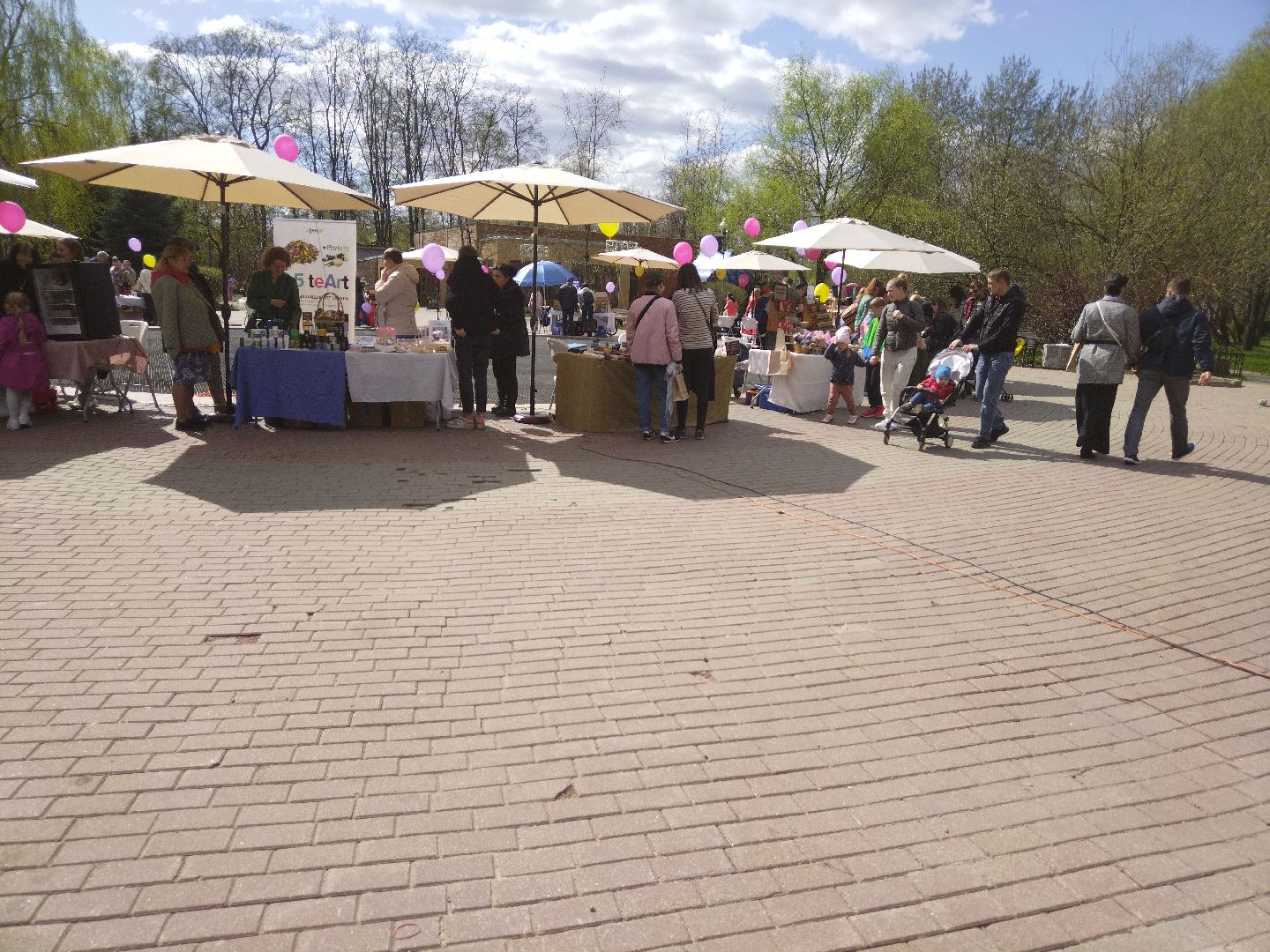 субботник, ежевика, Мытищи, нежный бизнес