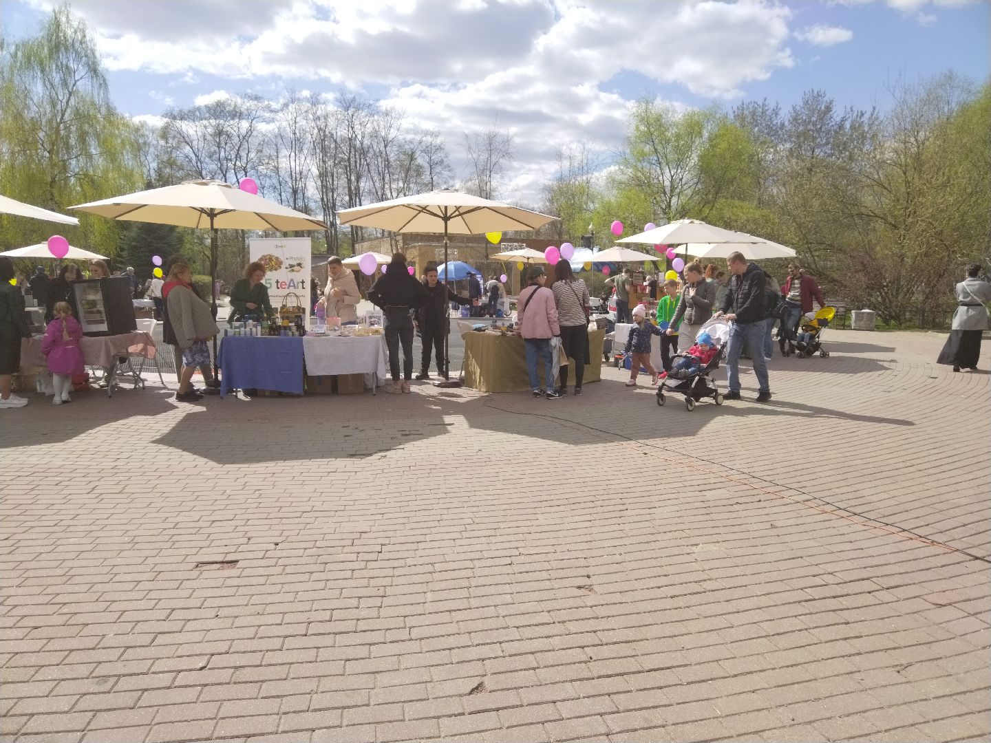 субботник, ежевика, Мытищи, нежный бизнес