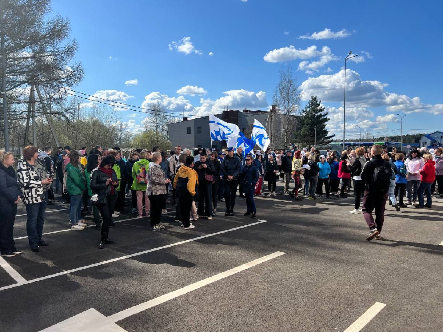 Солнечногорск, субботник, акция, чистота, порядок