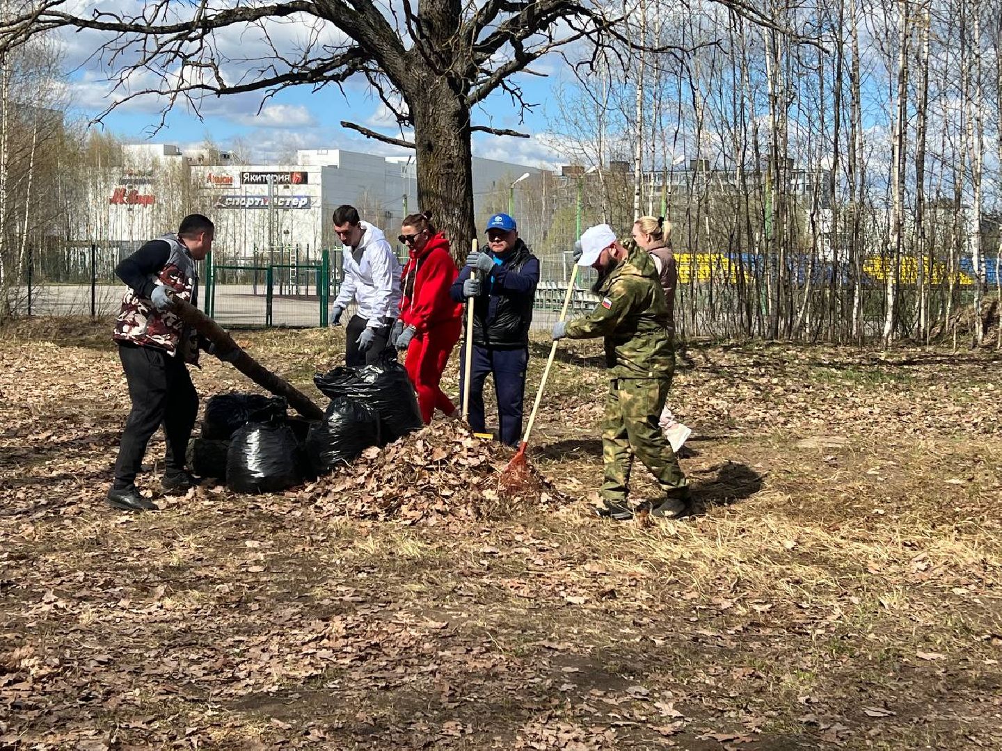 Солнечногорск, субботник, акция, чистота, порядок