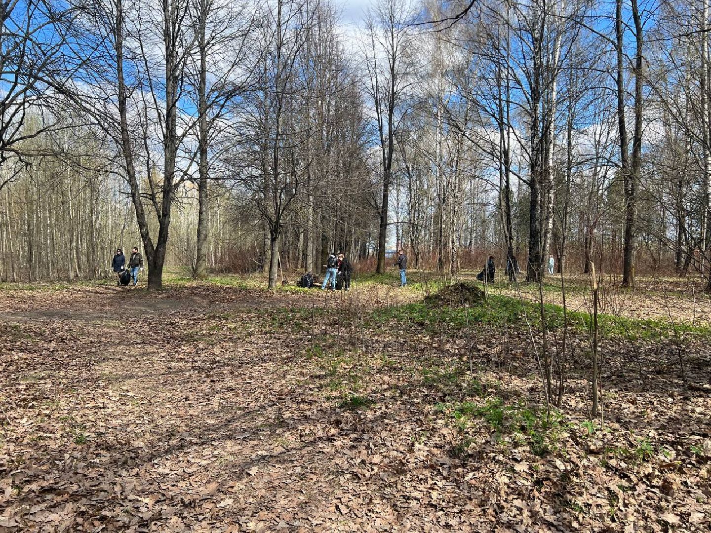 Солнечногорск, субботник, акция, чистота, порядок