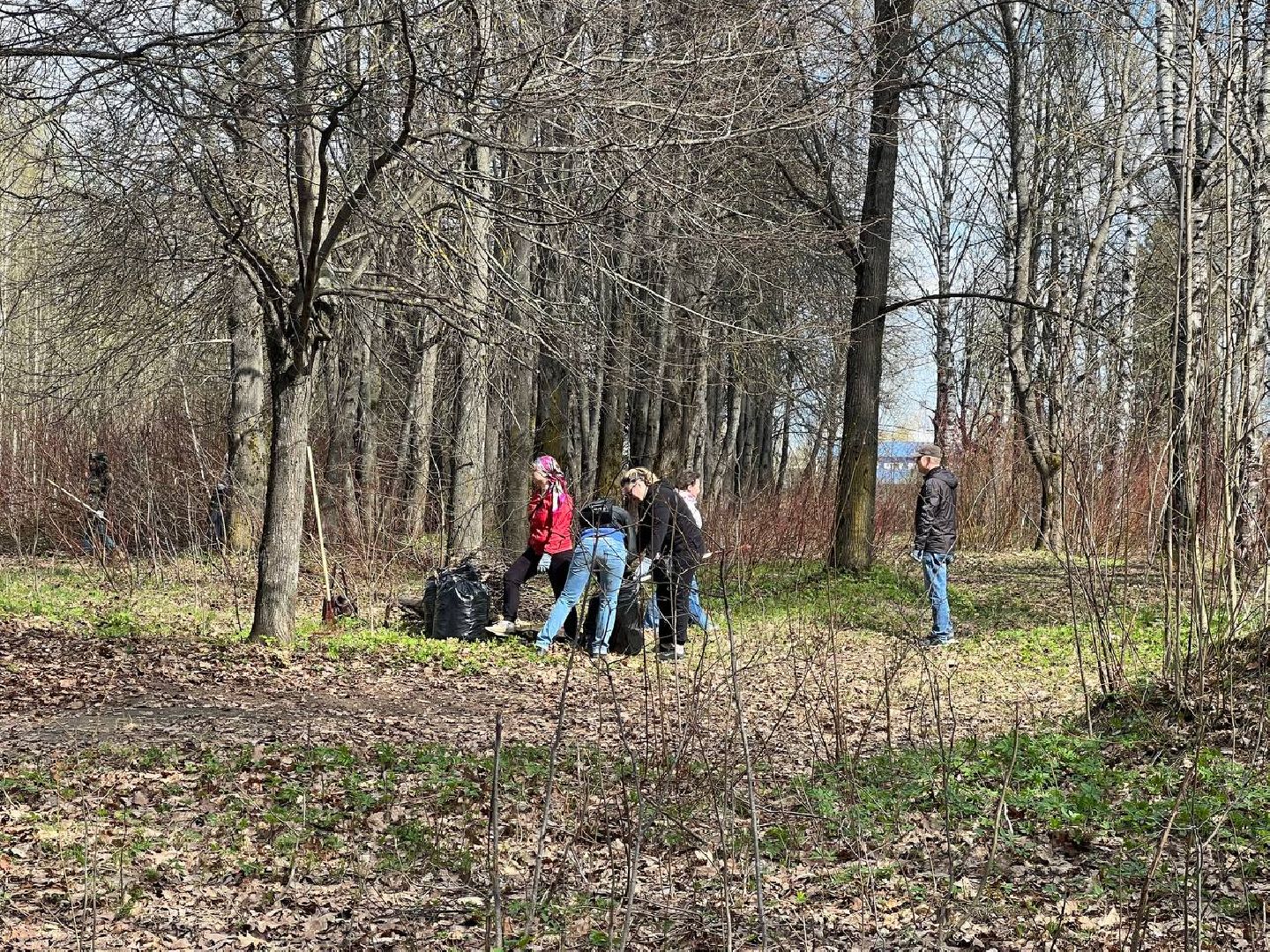 Солнечногорск, субботник, акция, чистота, порядок