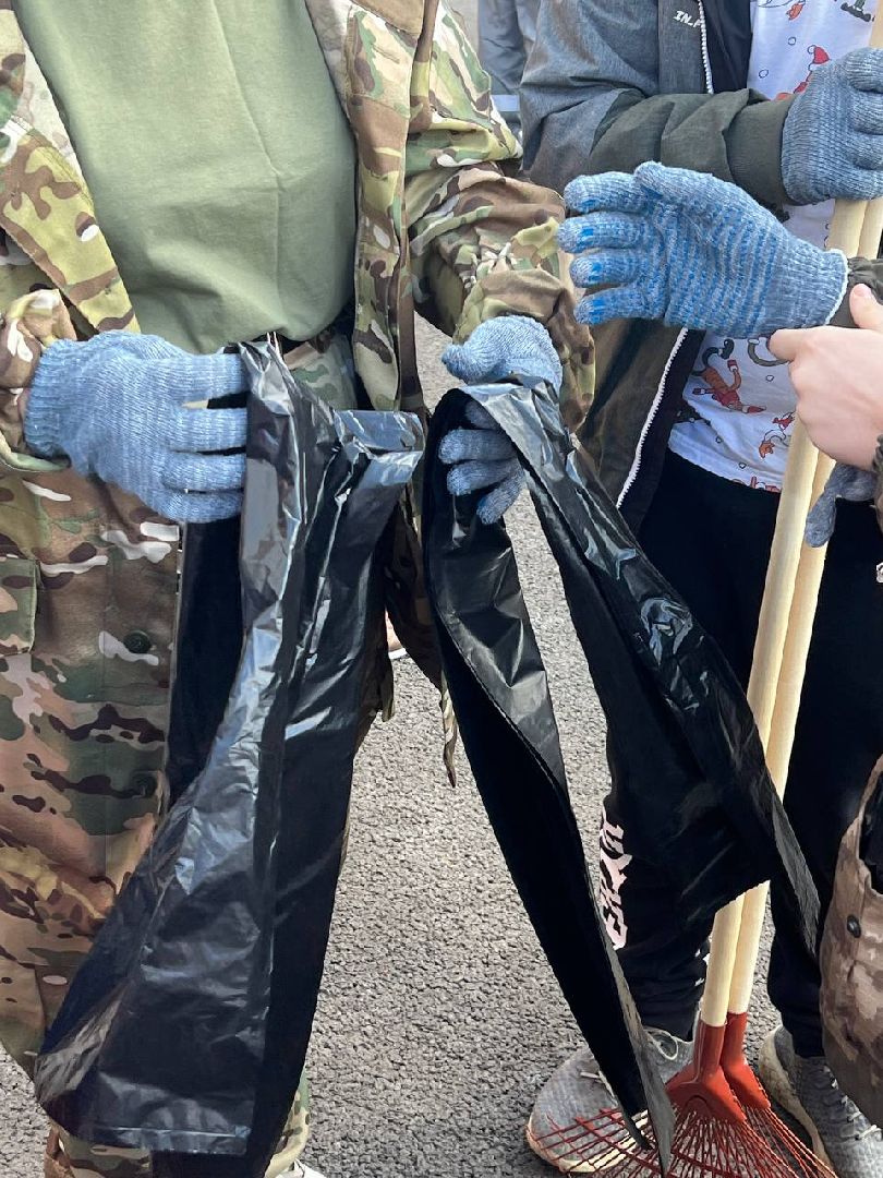 Солнечногорск, субботник, акция, чистота, порядок