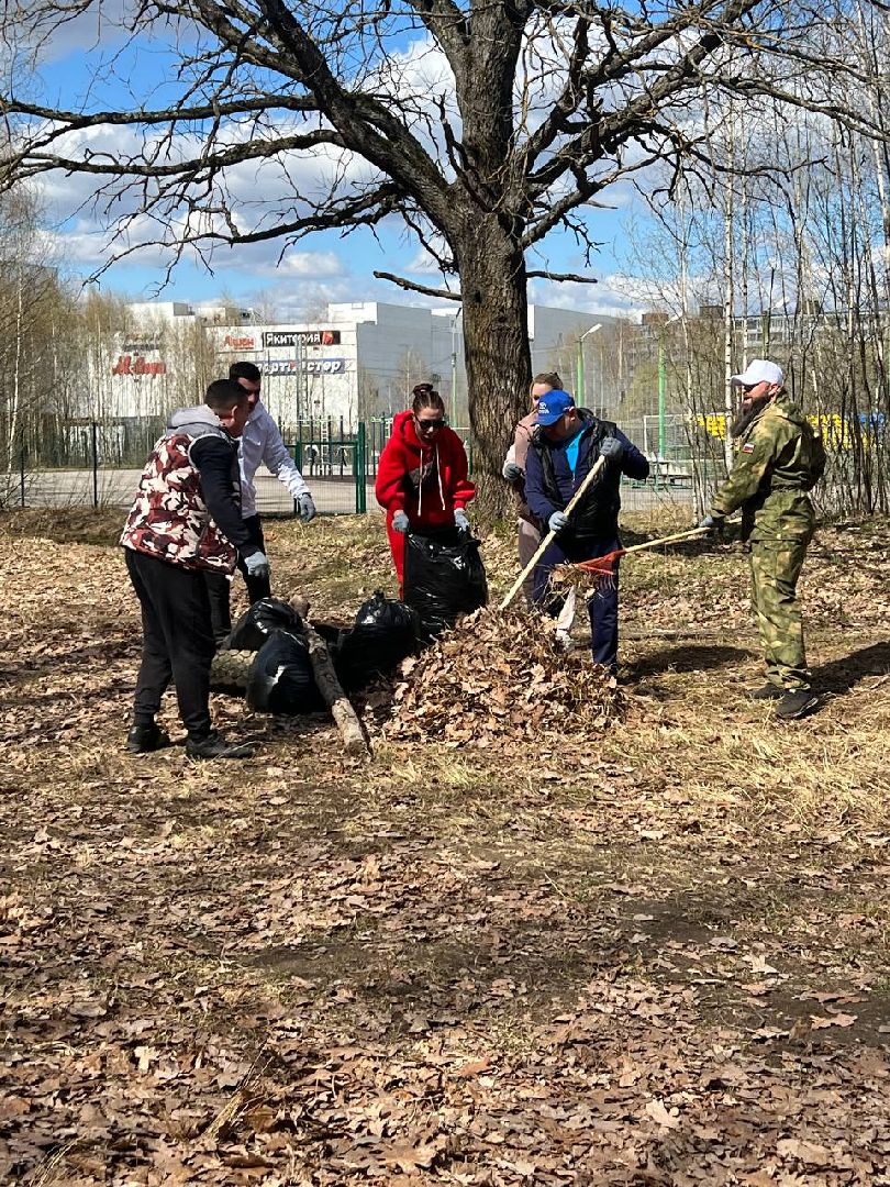 Солнечногорск, субботник, акция, чистота, порядок