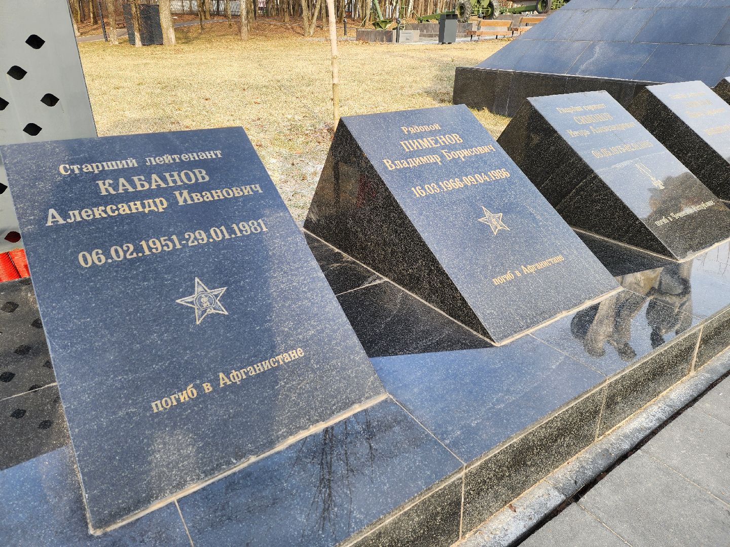 вертикалки, луховицы, митинг памяти, аллея славы, афганистан,