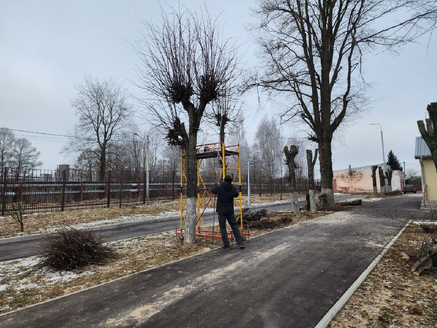 солнечногорск, липы, рабочий, школа, ученики,