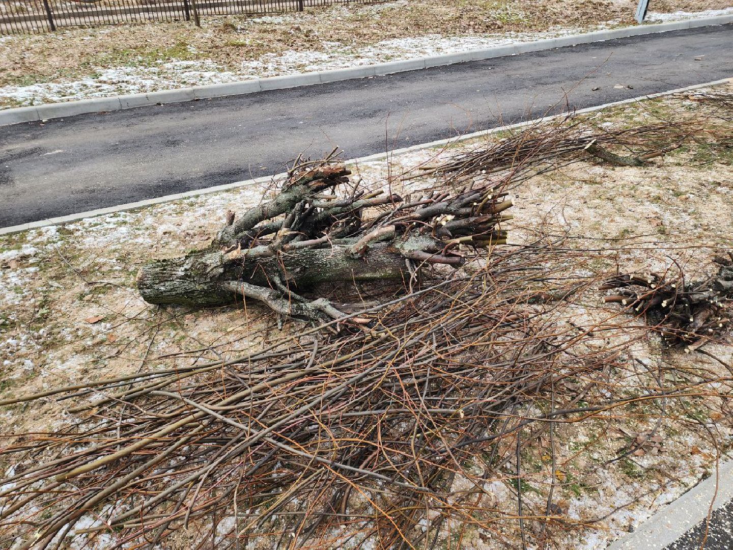 солнечногорск, липы, рабочий, школа, ученики,