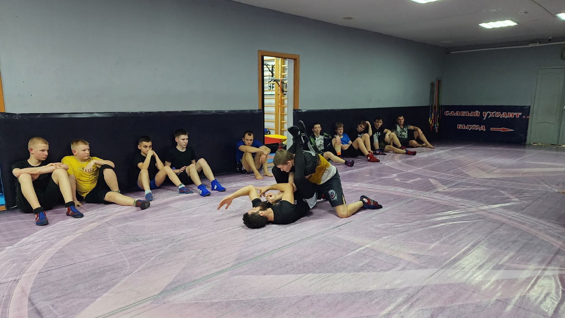 спорт, истра, тренировка по самбо, вертикалки