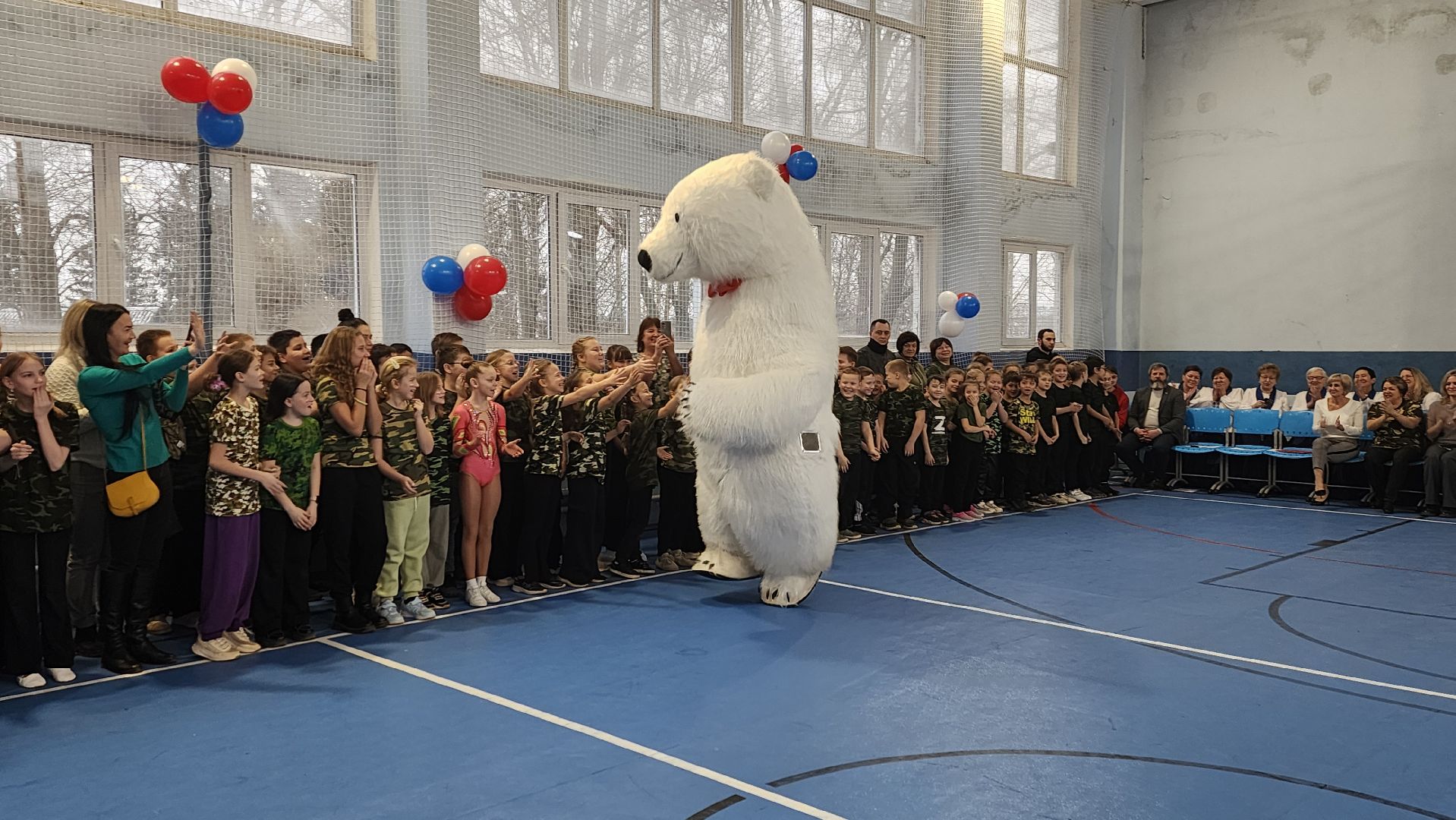 солнечногорск, вертикалки, школа солнечная, лицей им блока, малые олимпийские игры,