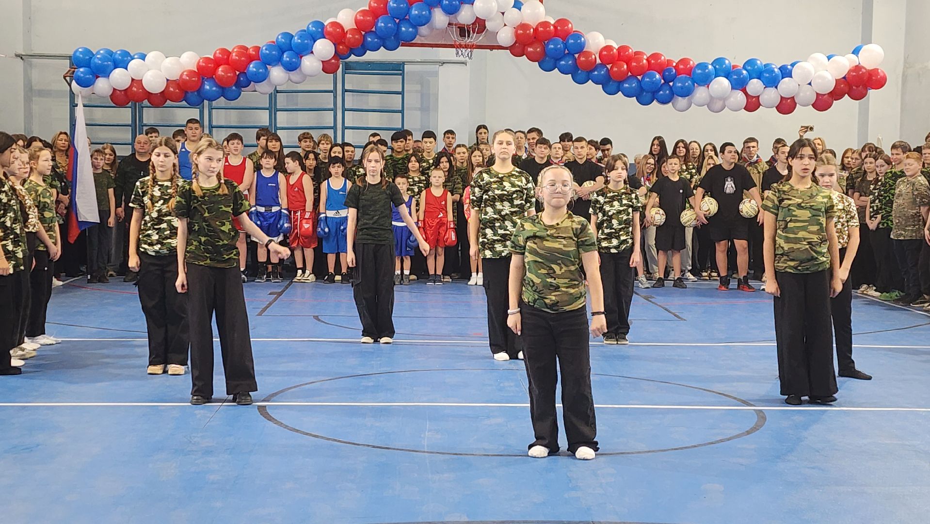 солнечногорск, вертикалки, школа солнечная, лицей им блока, малые олимпийские игры,