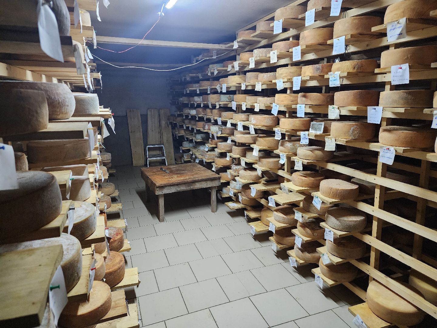 зарайские деликатесы, Зарайск, зарайские фермеры, сыроварня Ивановых, сыроварня в Зарайске,