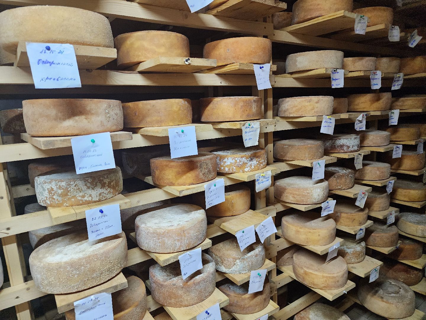 зарайские деликатесы, Зарайск, зарайские фермеры, сыроварня Ивановых, сыроварня в Зарайске,