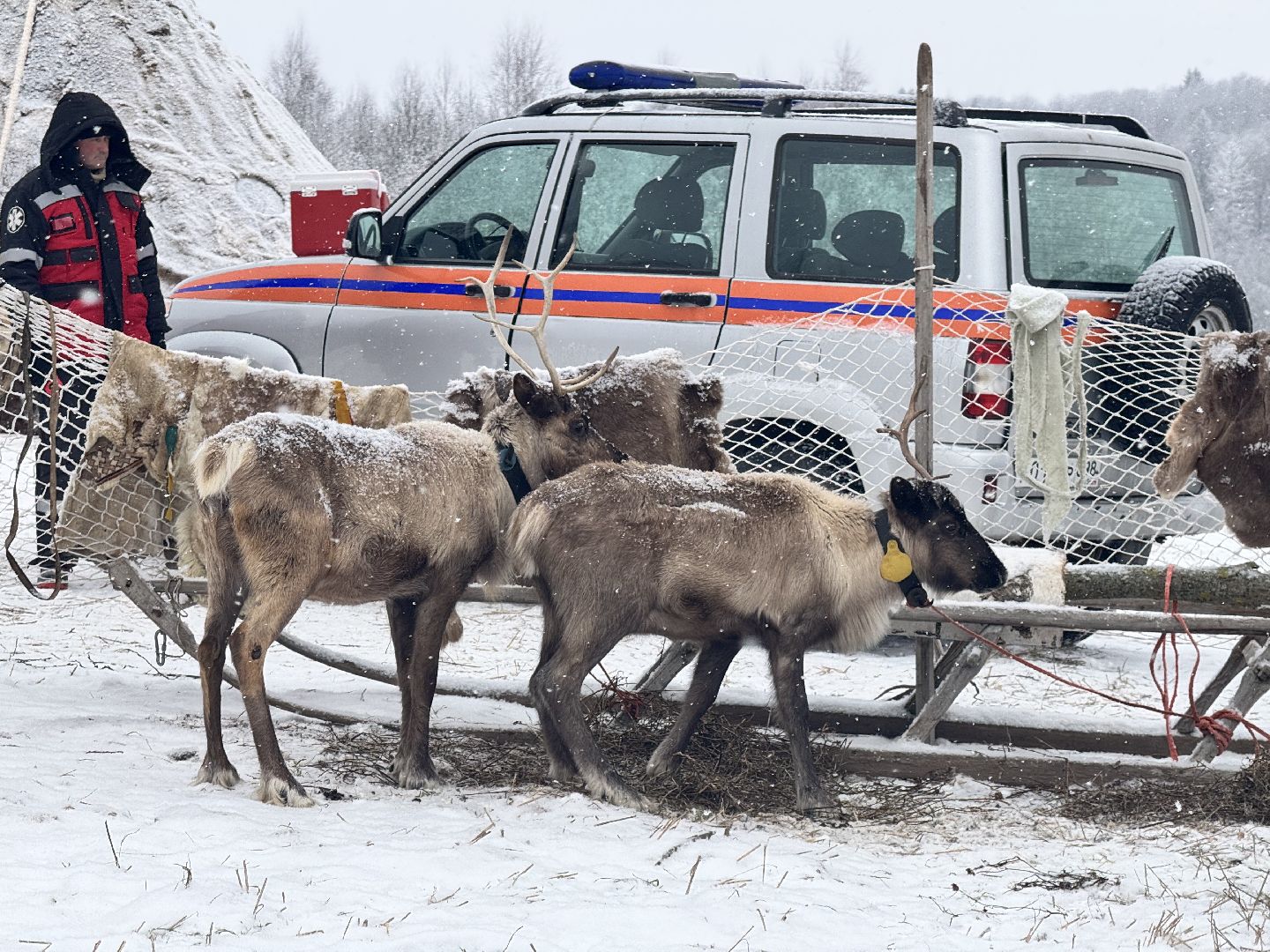 шаховская, фильм, съемка фильма, актеры, вертикалки,
