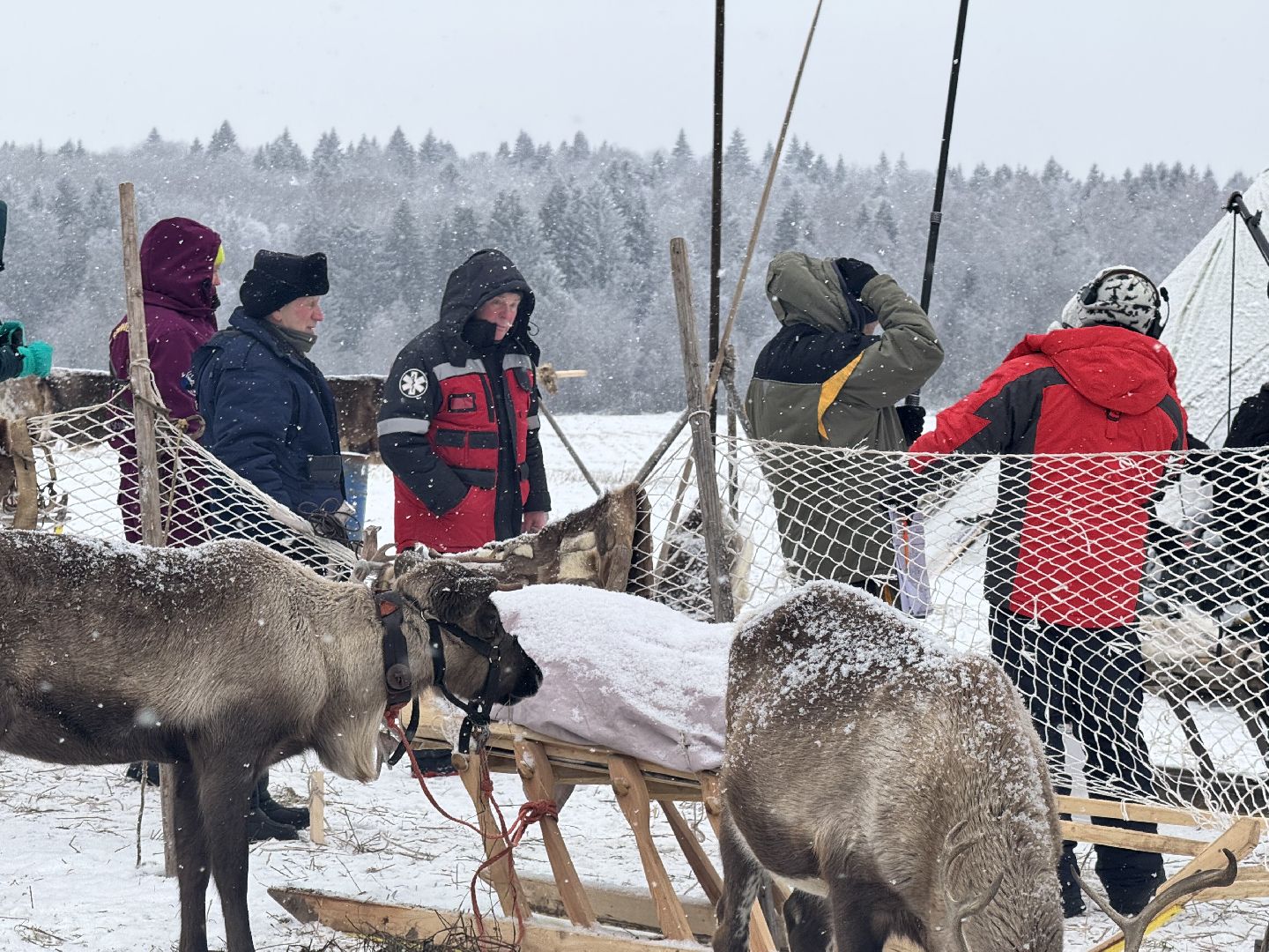 шаховская, фильм, съемка фильма, актеры, вертикалки,