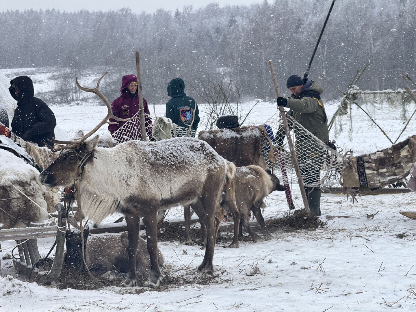 шаховская, фильм, съемка фильма, актеры, вертикалки,