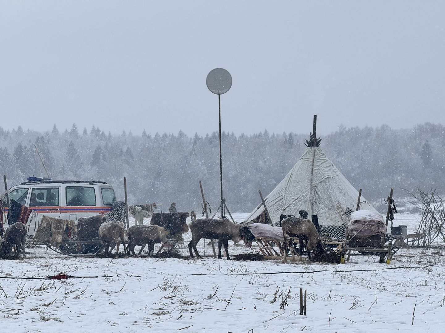 шаховская, фильм, съемка фильма, актеры, вертикалки,