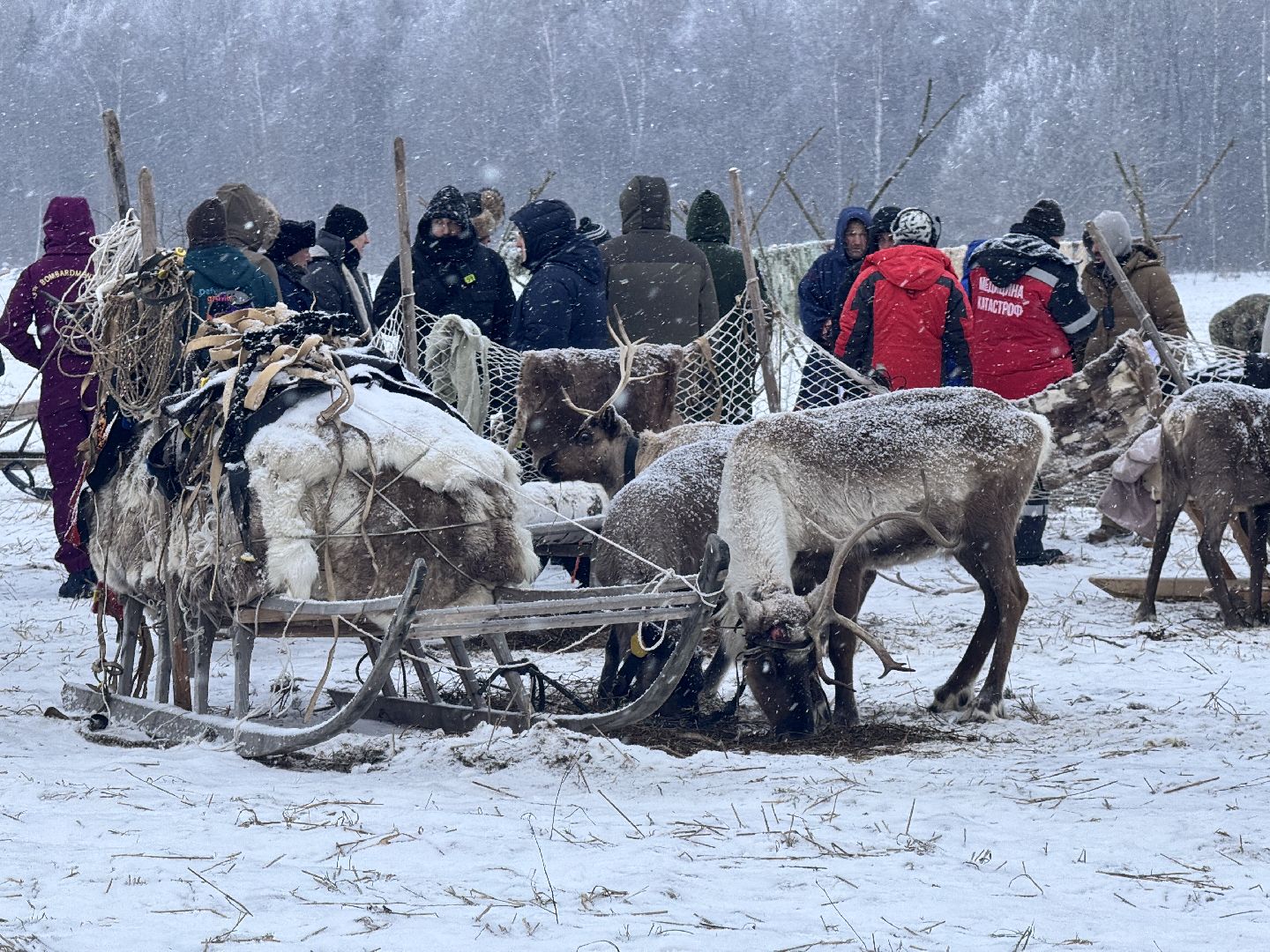 шаховская, фильм, съемка фильма, актеры, вертикалки,