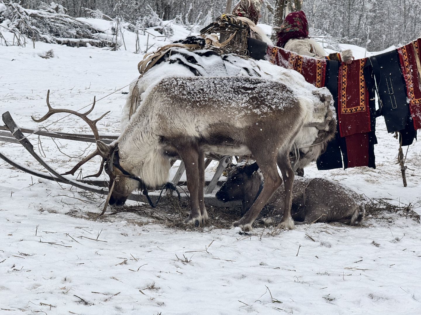 шаховская, фильм, съемка фильма, актеры, вертикалки,