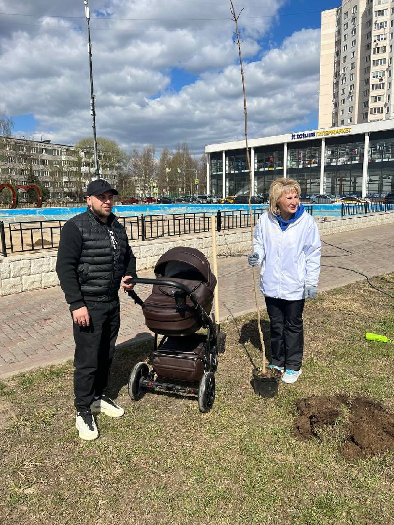 Солнечногорск, дерево, субботник, чистота, порядок