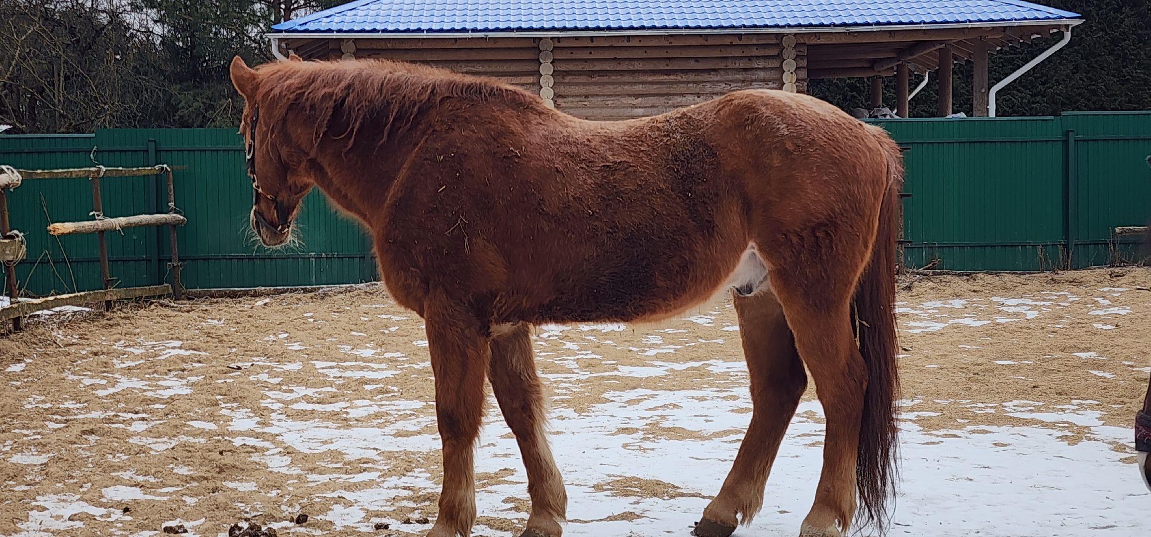 вертикалки, Туризм, конные прогулки,