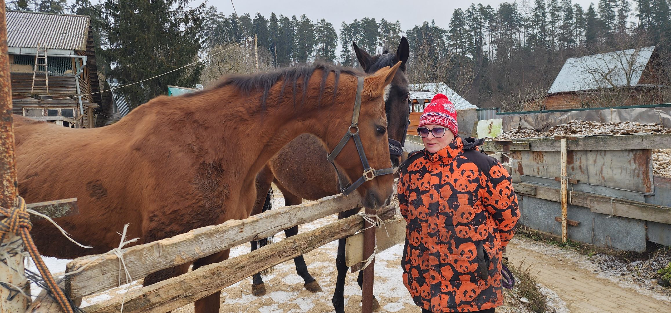 вертикалки, Туризм, конные прогулки,