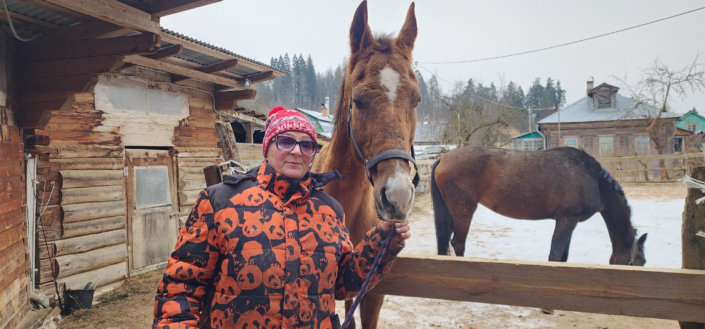 вертикалки, Туризм, конные прогулки,