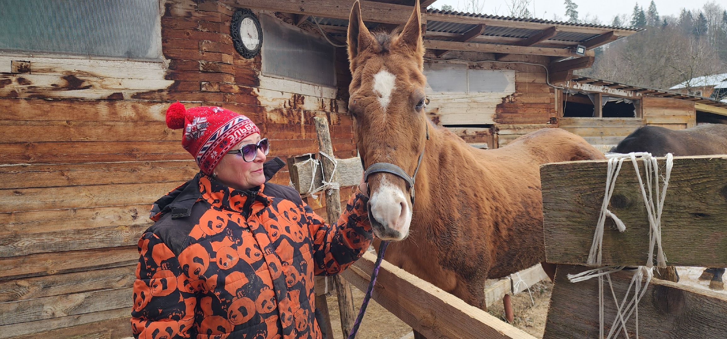 вертикалки, Туризм, конные прогулки,