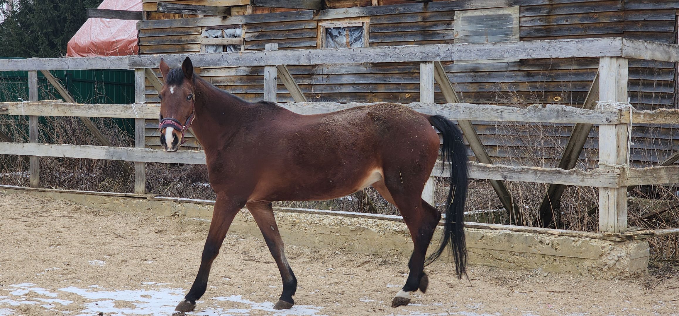 вертикалки, Туризм, конные прогулки,