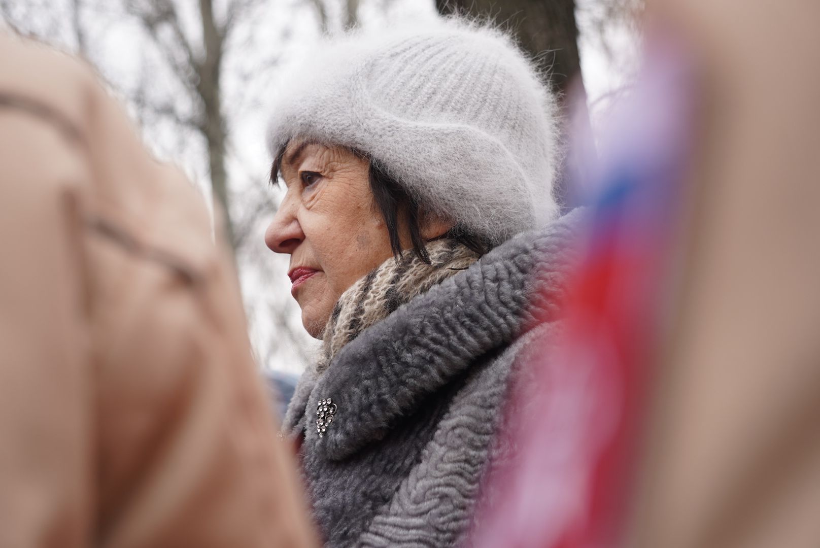 вертикалки, павловский посад, митинг, общество,