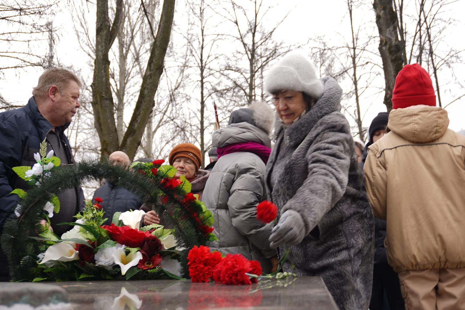 вертикалки, павловский посад, митинг, общество,