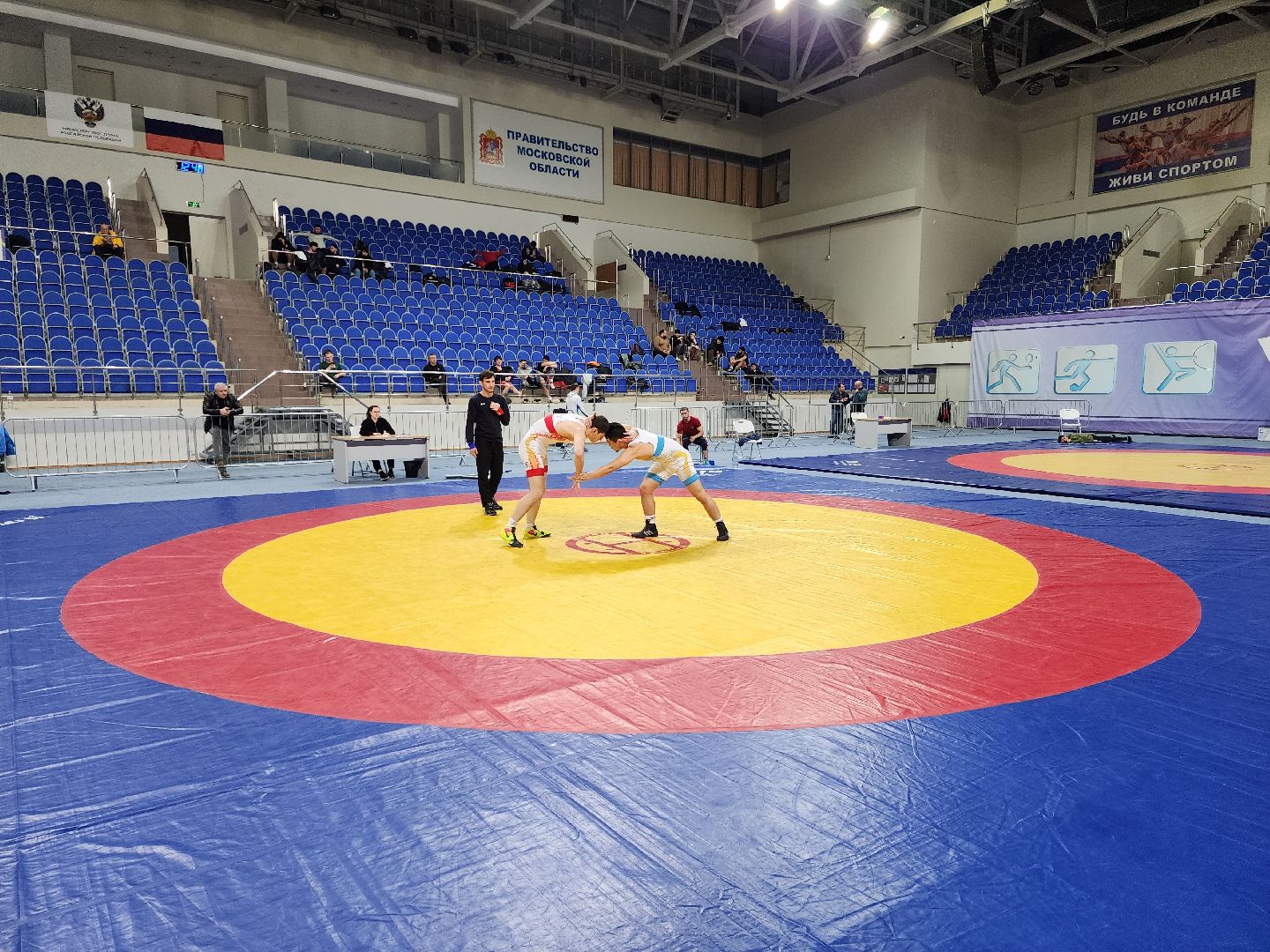 раменское, спорт, чемпионат московской области по вольной борьбе,