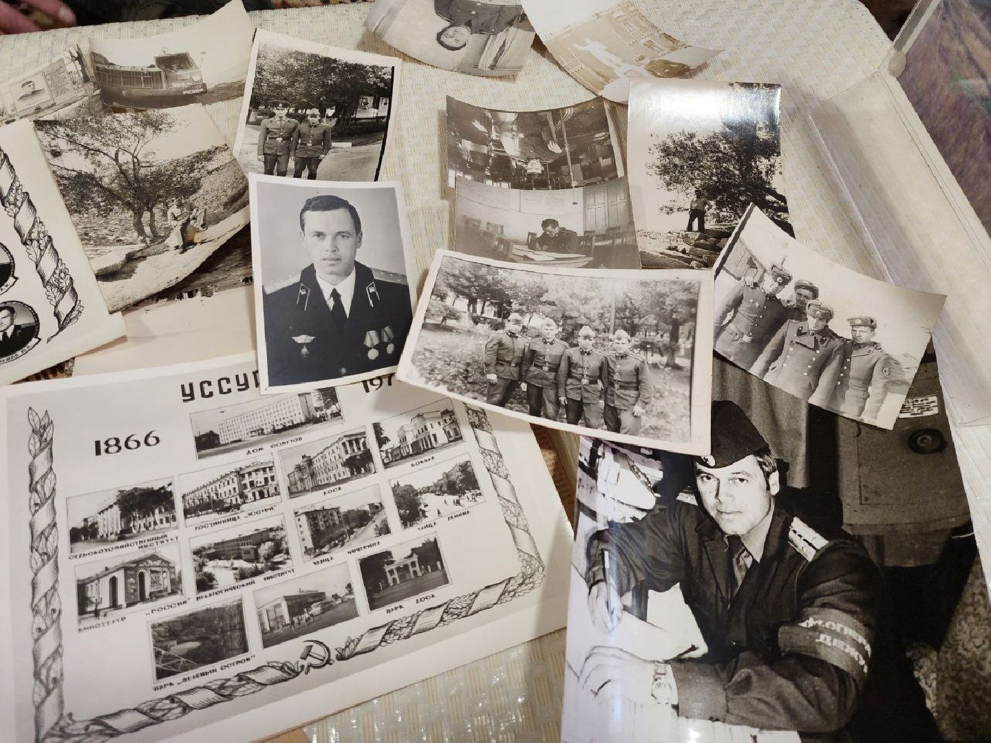 луховицы, Фруктовая, афганистан, вертикалки,