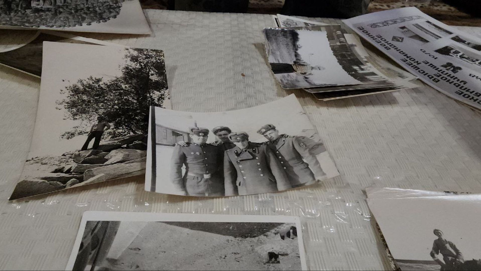 луховицы, Фруктовая, афганистан, вертикалки,