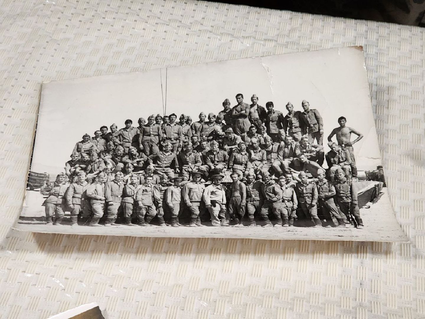 луховицы, Фруктовая, афганистан, вертикалки,