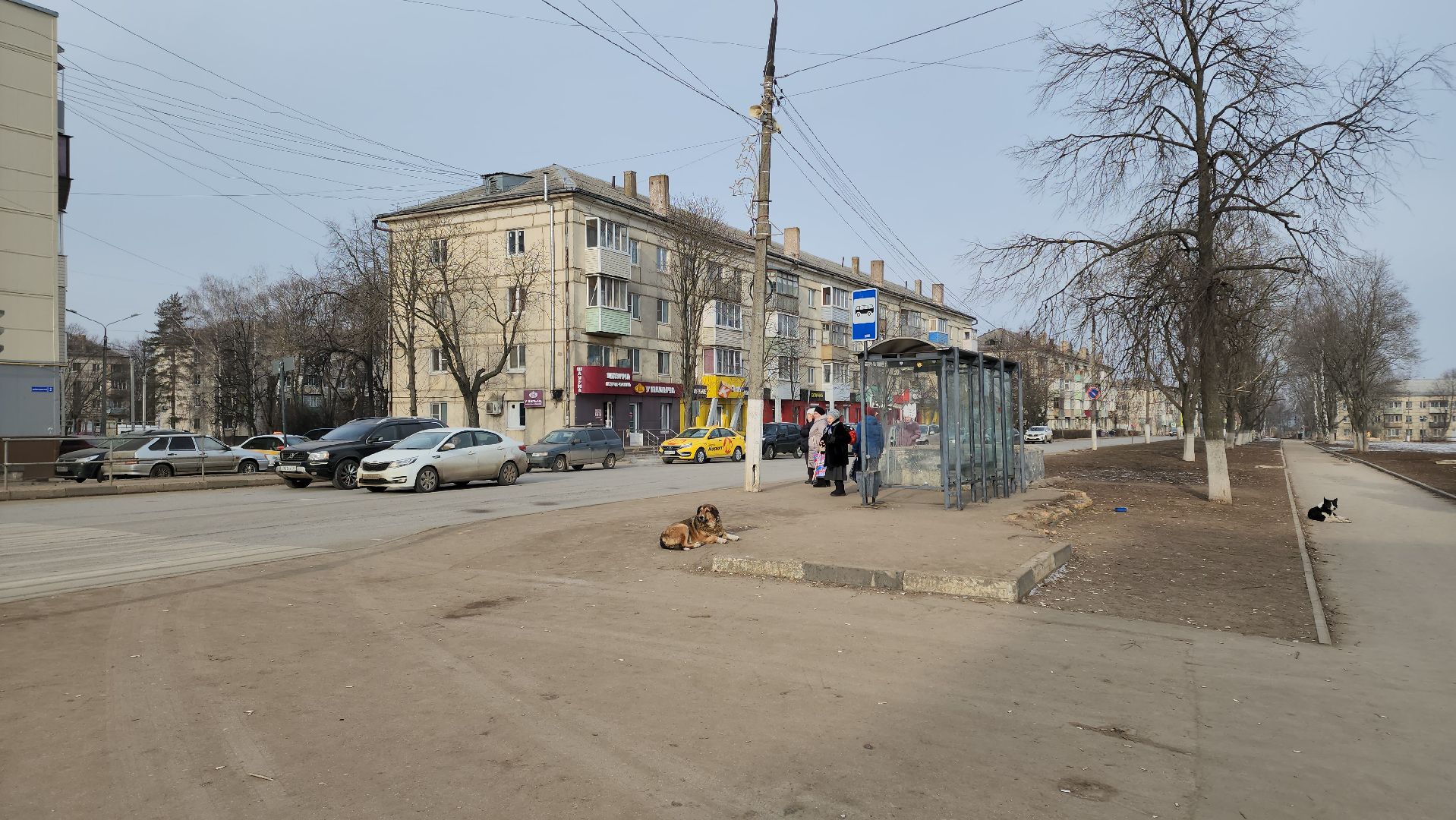 кашира, выездная администрация, кзмк, транспорт, автобусы, вертикалки,