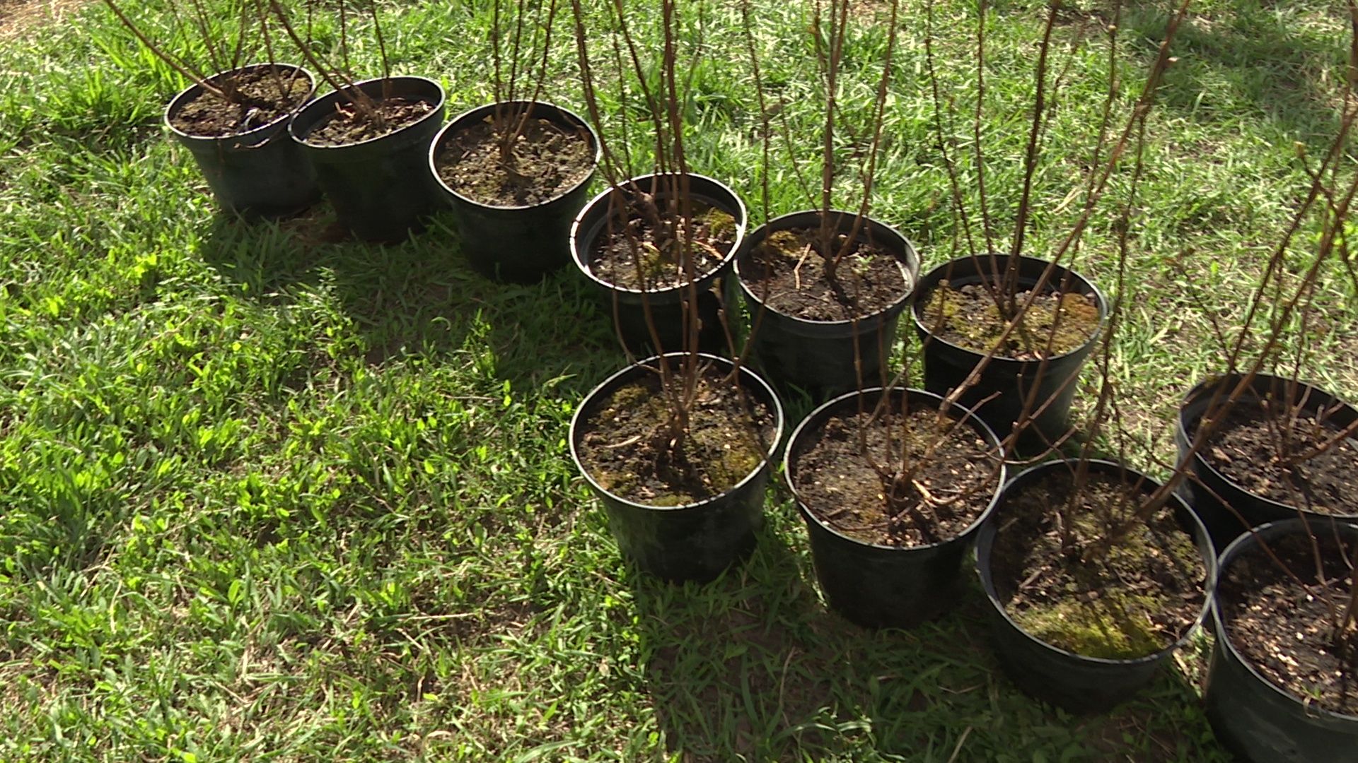 Реутов, субботник, рекорд, мусор, чистота, Светлана Аипова