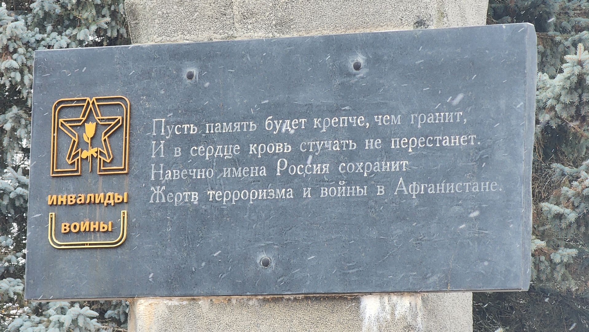 центр лиходея, руза, день памяти воинов-интернационалистов, рузский округ,