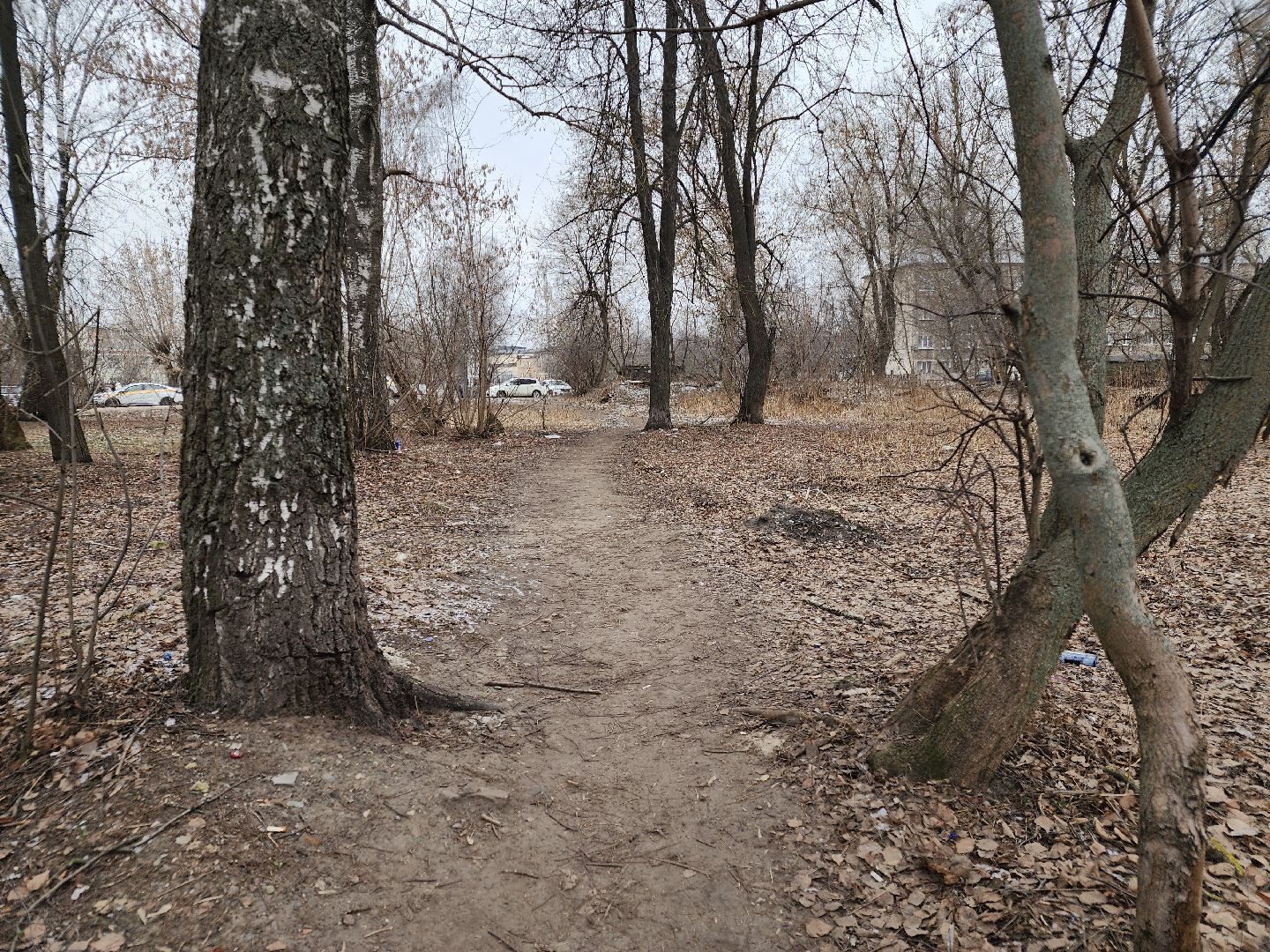 вертикалки, выездная администрация, орехово зуево, благоустройство,
