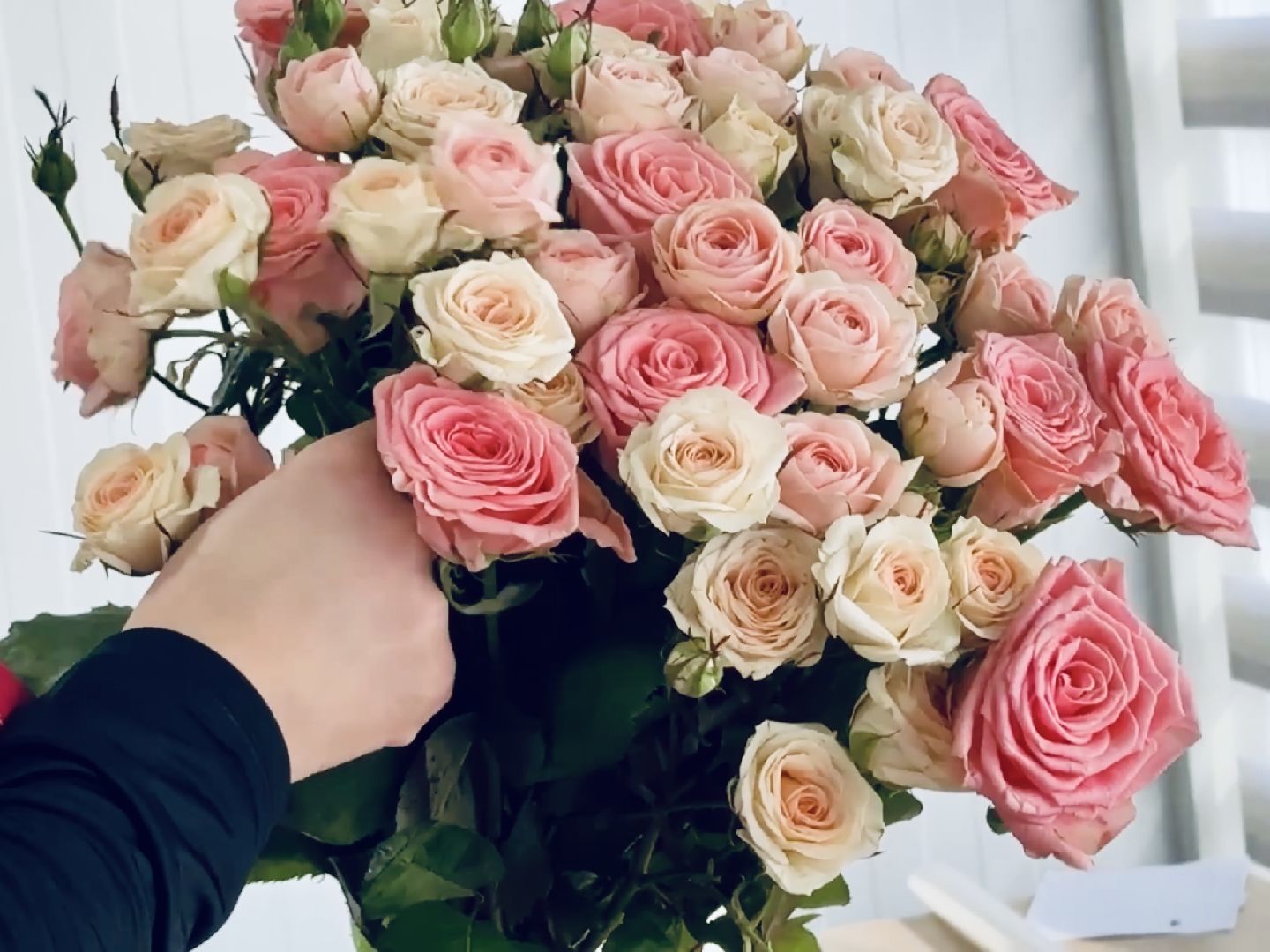 раменское, розы, тепличный комплекс, производство,вертикалки,