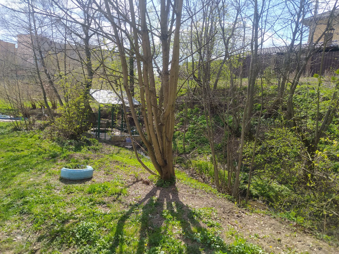 благоустройство, субботник, Нахабино, уборка, святой источник