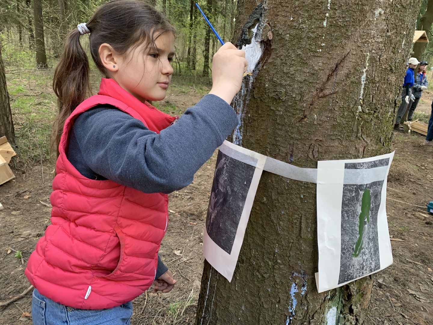 Балашиха, Подмосковье, субботники, Ольгинской лесопарк художники, рисунки на деревьях