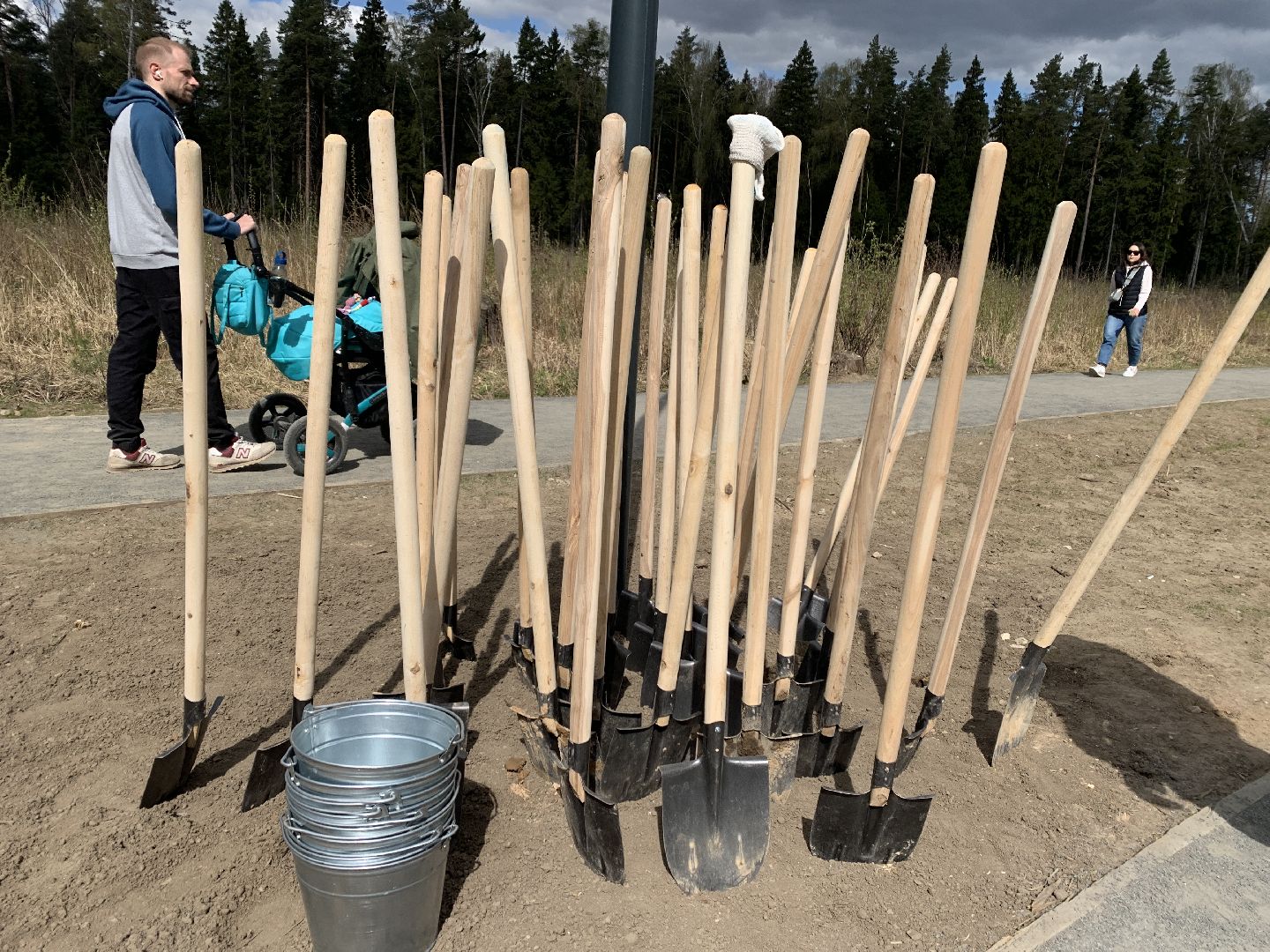 Балашиха, Подмосковье, субботники, Ольгинской лесопарк художники, рисунки на деревьях