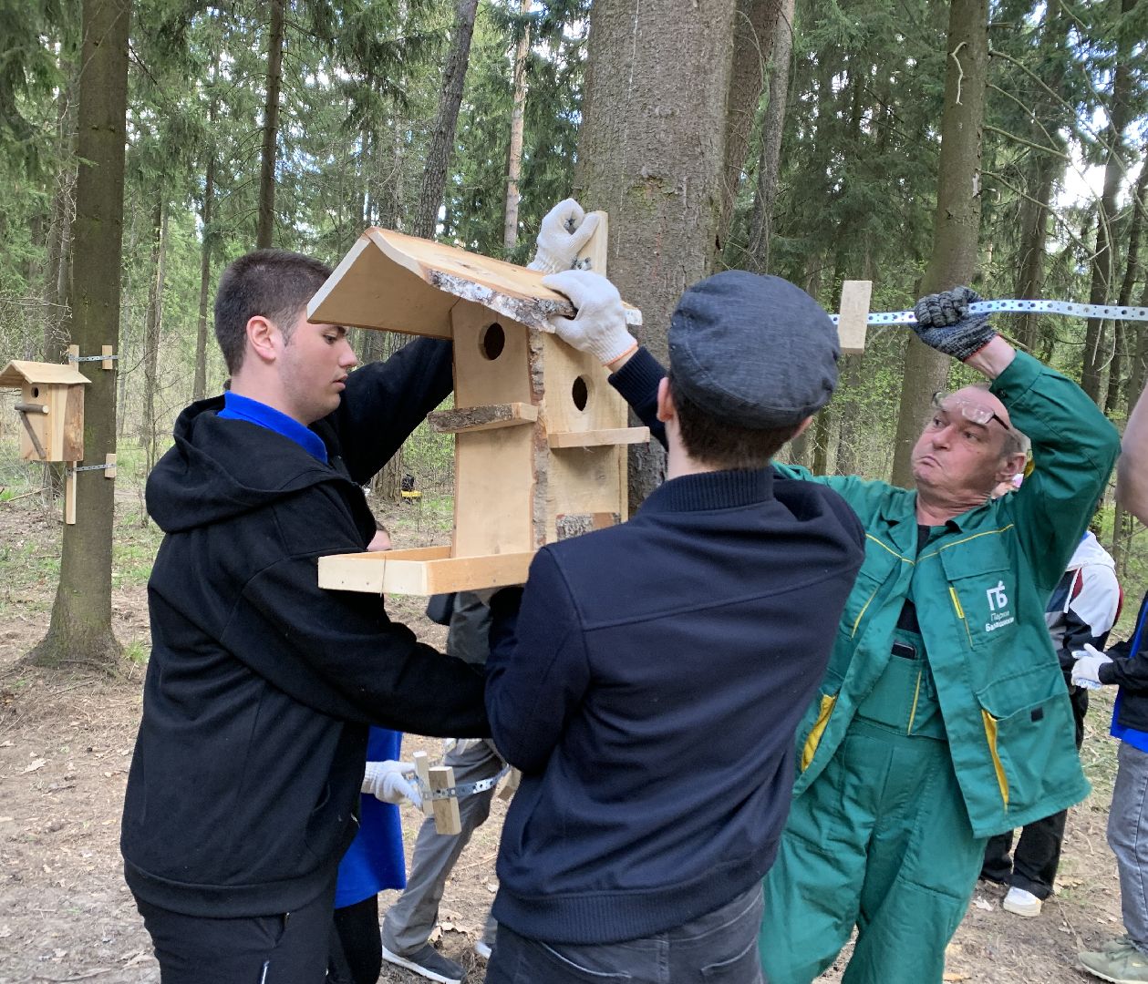 Балашиха, Подмосковье, субботники, Ольгинской лесопарк художники, рисунки на деревьях