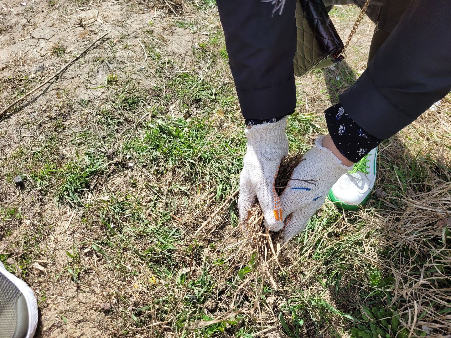 экология, чистота, субботник, видное, благоустройство