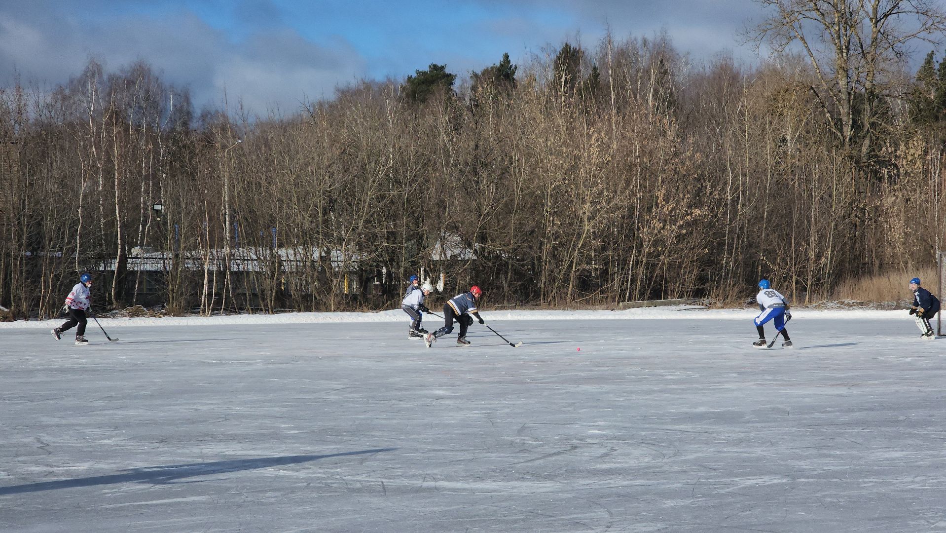 хоккей с мячом, товарищеский матч, спорт, балашиха, криогенмаш,
