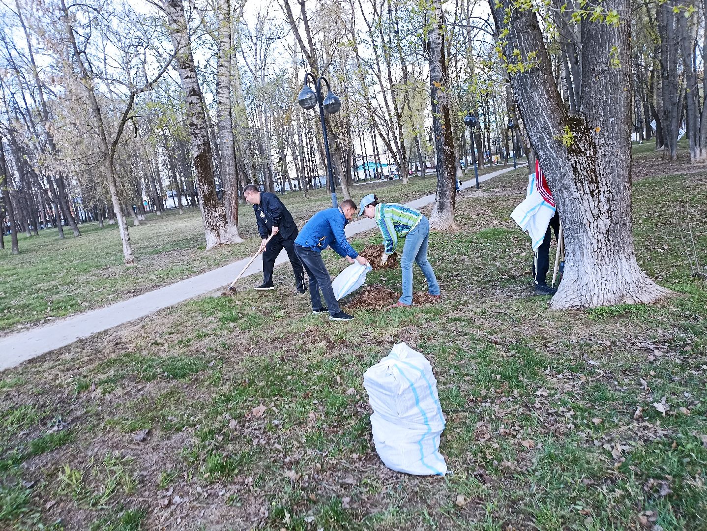Серпухов, Подмосковье, уборка, субботник, парк