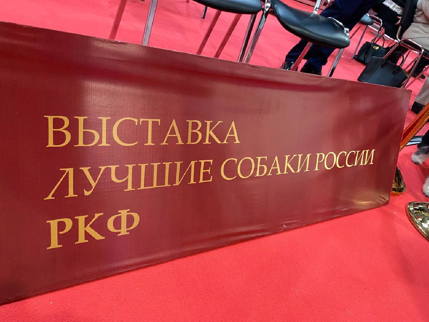 лучшиесобакироссии, выставкасобак, крокусэкспо,