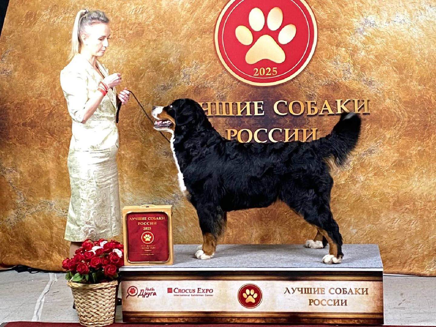 лучшиесобакироссии, выставкасобак, крокусэкспо,